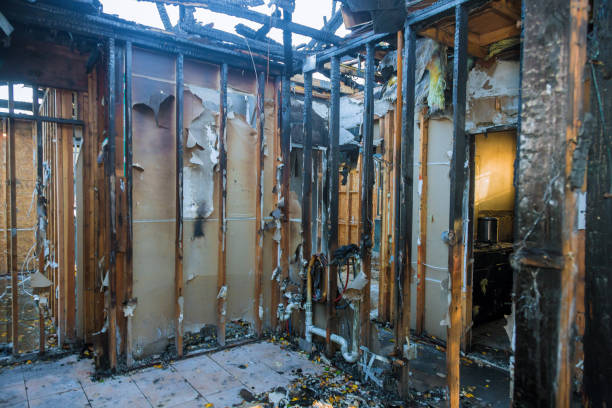 Professional Odor Removal technician working in Houston, PA