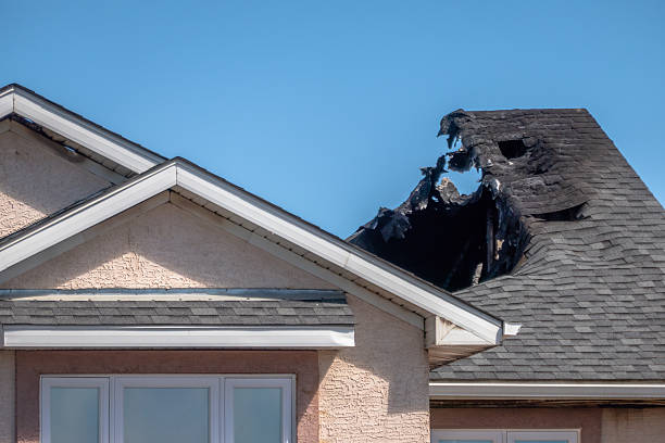 Top rated local Odor Removal specialists in Houston, PA